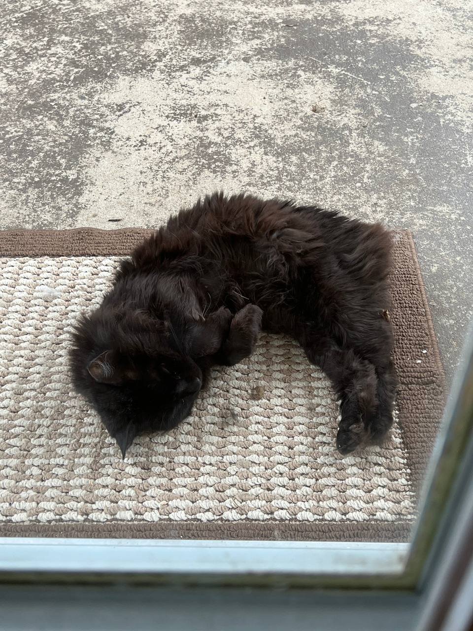 Mouse Playing Outside