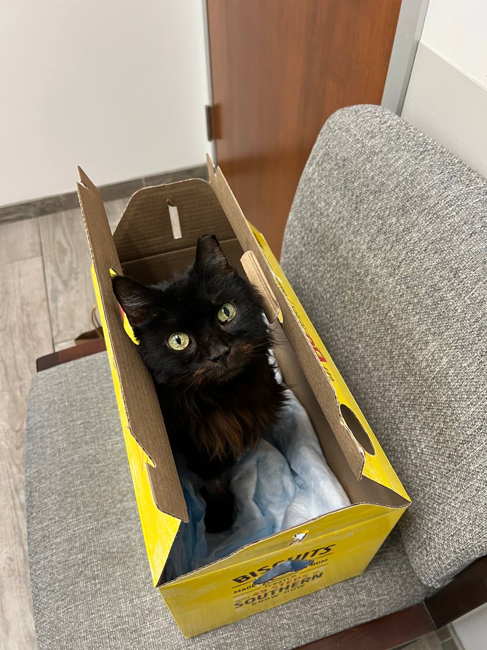 Mouse’s Final Moments